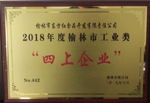 2018年度榆林市工业类“四上企业”（摩域平台）